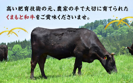 【12回定期便】くまもと黒毛和牛 サーロインステーキ 計800g（4枚）【馬刺しの郷 民守】ステーキ サーロイン 霜降り 熊本県 [ZBL109]