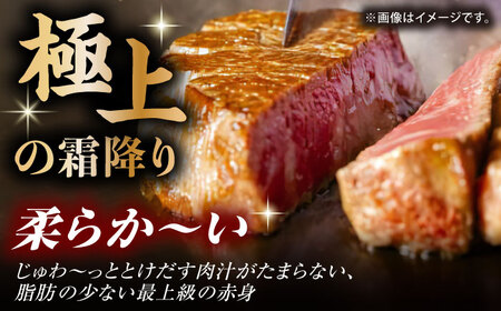 【12回定期便】くまもと黒毛和牛 ヒレステーキ 計300g（2枚）【馬刺しの郷 民守】 熊本 和牛 ステーキ ヒレ  [ZBL110]