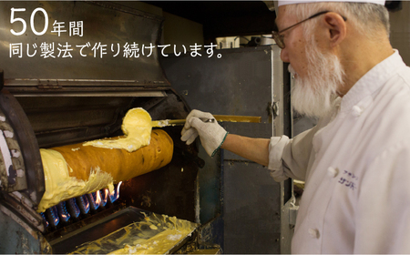 手焼き バームクーヘン と 焼菓子9種 詰め合わせ B 10点 【フランス菓子 サンドール】[TDW002]