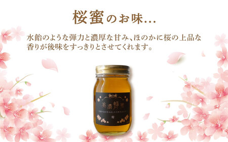 美濃蜂蜜 桜 600g ディスペンサー 付き ギフトセット 【マンモスハウス合同会社】 はちみつ 非加熱 国産[TEW009]