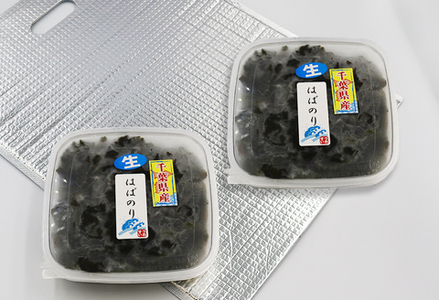 【極味のひもの特製】房州小湊産 天然『生冷 はばのり』200g《数量限定》　[0010-0284]