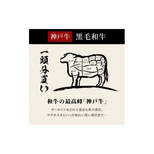 【和牛セレブ】神戸牛一頭分のセレブ体験（24分割納品コース）[1035]