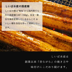 BC6007_うなぎ蒲焼 4尾 & 蒲焼タレ 2本 セット 国産 安全 ふっくら うなぎ 特製 タレ 土用 丑の日 こだわり 蒲焼き 贈答 贈り物 ギフト 急速冷凍 うな丼 うな重 う巻き ひつまぶし うなむすび 濃厚 冷凍 しいば水産 角長 お取り寄せ 和歌山県 湯浅町 送料無料