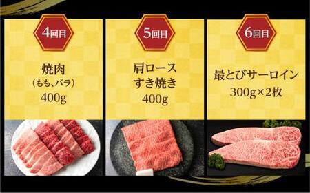 【定期便6ヶ月】 A5ランク肉 飛騨牛 定期便 約2.6kg(360g以上×6ヶ月) 牛肉 ( 焼肉 すき焼き しゃぶしゃぶ ステーキ 肩ロース ヒレ サーロイン もも バラ ) | 食べ比べ A5  人気 牛肉 飛騨牛 定期便 おすすめ 牛肉 定期便 肉 和牛 焼肉 すき焼き 牛肉 しゃぶしゃぶ ステーキ 定期便 牛肉 人気 高山市 飛騨高山 ながせ食品 FH101