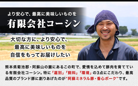 香心ポーク たっぷり肉肉セット 約2.8kg以上 有限会社コーシン《30日以内に出荷予定(土日祝除く)》 熊本 大津町 豚肉 豚 もも肉 モモ肉 ステーキ しゃぶしゃぶ すき焼き とんかつ 焼肉 送料無料