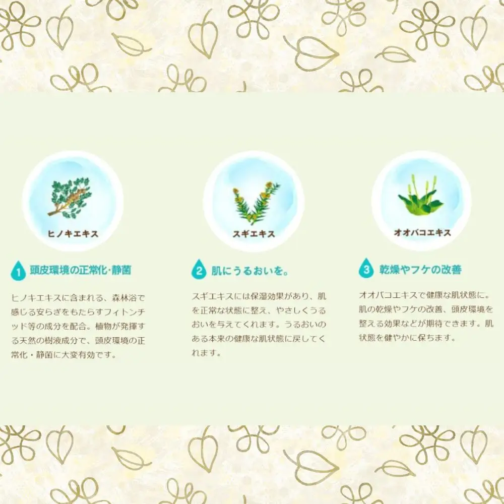 100%天然のヘアシャンプー「夢見るシャンプー」300ml 1本
