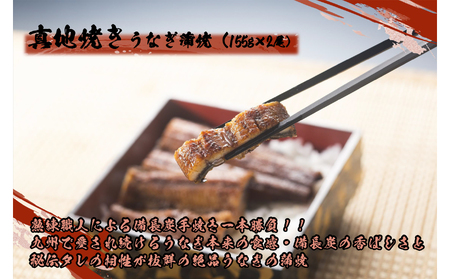 1722-2 【定期（全3回）】大人気！鯉家の絶品蒲焼「真地焼きうなぎ（2尾）」【国産・手焼き備長炭】 KN040-T03 魚 冷凍 鰻