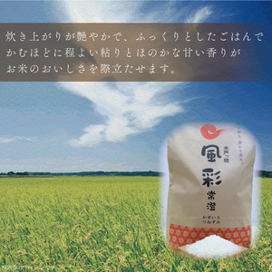 【6ヶ月定期便】【令和7年産】特別栽培米コシヒカリ「風彩常澄」計30kg（5kg×6回）】 （FC-104）