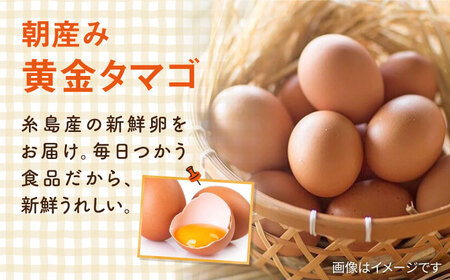 【お中元対象】糸島の朝産み黄金タマゴ10個 朝どれ新鮮野菜5品 セット【福岡県糸島産】 糸島市 / オーガニックナガミツファーム 玉子 やさい 	[AGE046]