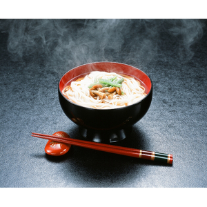 【国内産小麦使用】稲庭古来うどん 400g×2袋セット 稲庭うどん 稲庭うどん 【(有)稲庭古来堂】[K1402]