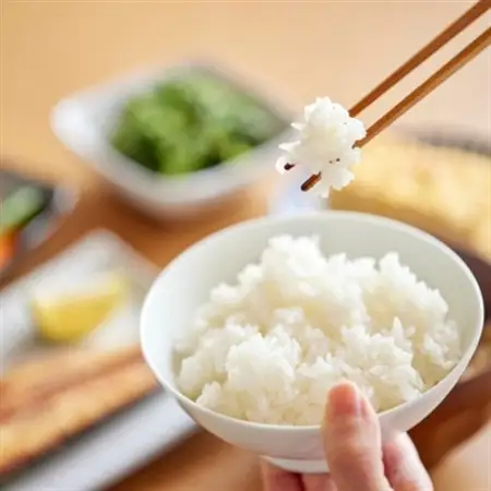令和8年産【先行受付】2026年9月以降発送【蛇紋岩ブランド　華やか一膳20kg】【1451000】