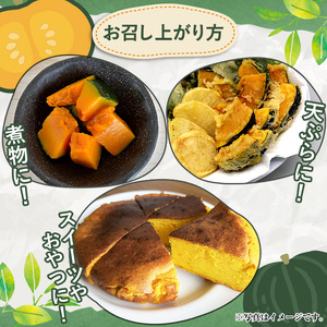 鹿児島県産 えびすかぼちゃ(約5kg) 国産 野菜 かぼちゃ カボチャ 南瓜 煮物 天ぷら バーベキュー BBQ スイーツ お菓子 期間限定【松永青果】akn053-04