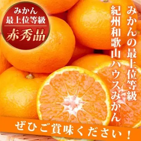 赤秀品　紀州和歌山ハウスみかん2.5kg【日高町】【1216957】