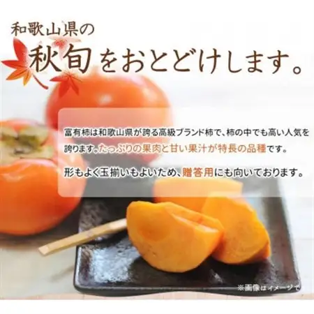 【2026年11月発送】和歌山秋の味覚　富有柿　約7.5kg【日高町】【1216959】