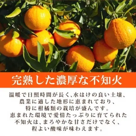 紀州有田産不知火(しらぬひ) 約5kg【日高町】【1216971】