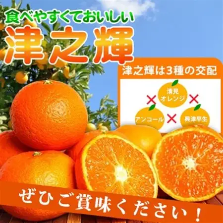 津之輝(つのかがやき)　5kg【日高町】【1217232】