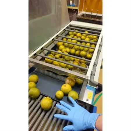 和歌山県の柑橘じゃばらパウダー　100g【日高町】【1221083】