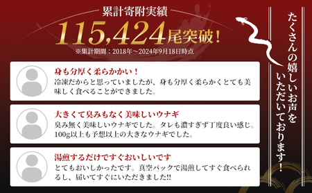 うなぎ 蒲焼き 2尾 (100g以上×2本)セット 国産 うなぎセット 国産うなぎ 浜名湖うなぎ