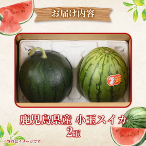 鹿児島県産 小玉スイカ(2玉) 国産 果物 スイカ すいか 西瓜 フルーツ スイーツ スムージー ジュース 期間限定【松永青果】akn053-06