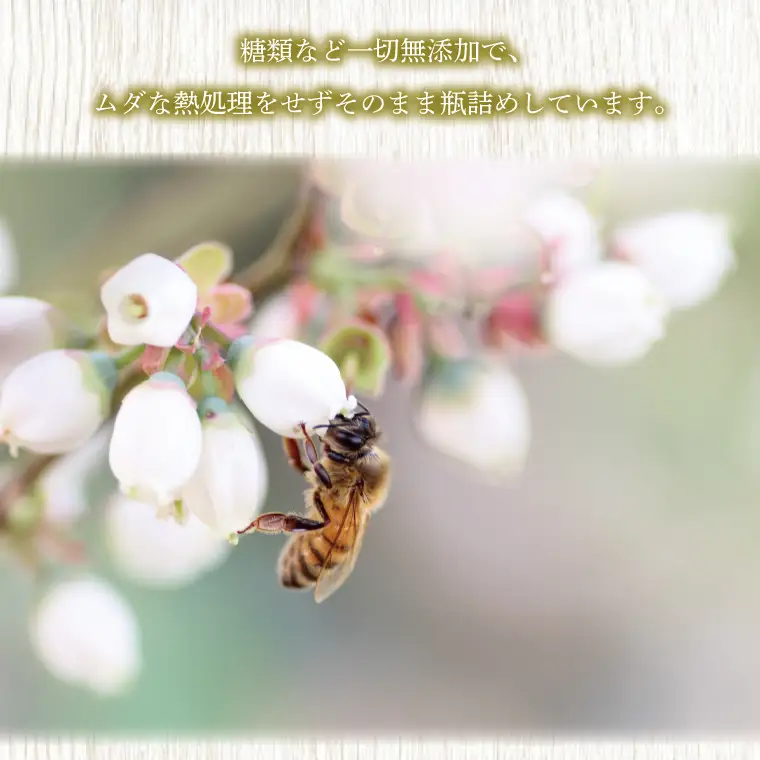 【数量限定】季節で移ろう田舎はちみつ7種ぷちギフトセット　各25g（結蜜Musubi-S7）【茨城県共通返礼品／五霞町】(HO-4)