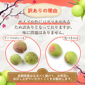 訳あり！鹿児島県産 南高梅(約4kg) 国産 果物 梅 うめ ウメ ナンコウウメ 和食 梅干し 梅酒 梅シロップ 訳アリ サイズ混合 期間限定【松永青果】akn053-09