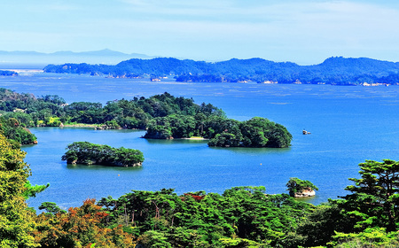 【令和7年度産】松島産ササニシキ5kg×2袋 No.092