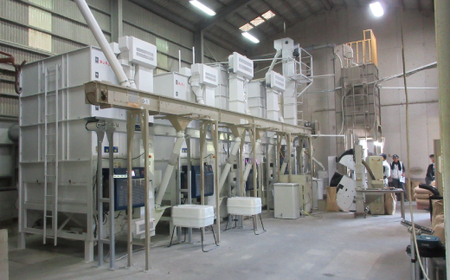 【令和7年産 数量限定】 四万十 の 米どころ 山間地域で育てた 大宮米 ヒノヒカリ 10kg 高知県 高知 しまんと 国産 お米 米 白米 精米 ひのひかり 低農薬栽培 ご飯 産地直送 26-789