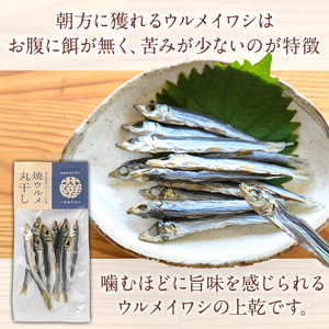 焼ウルメ丸干し10袋セット(20g×10袋)海産物 いわし 鰯 ウルメイワシ おつまみ おかず【下園薩男商店】akn086-07
