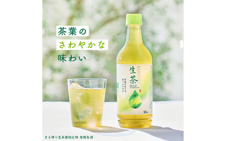 【定期便6回】キリン 生茶 525ml × 24本 6ヶ月