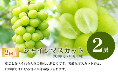 No.2767福島のフルーツ定期便２種【2026年発送】　桃 シャインマスカット