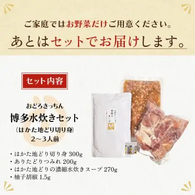 Z69-21 寄附額改定↓↓ おどろきっちん 博多水炊きセット 2～3人前 水炊き