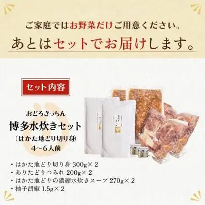 Z69-22 寄附額改定↓↓ おどろきっちん 博多水炊きセット 4～6人前 水炊き