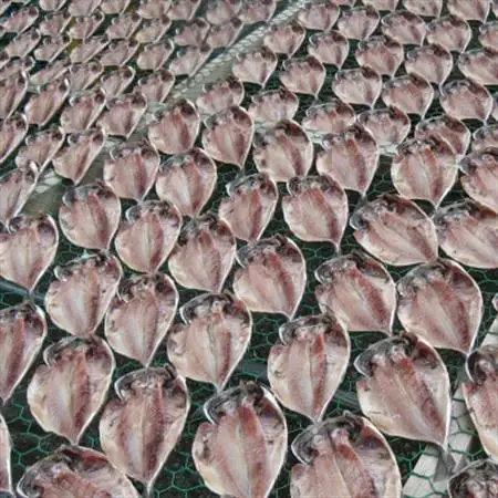 金目鯛姿煮(L)・長崎あじ天日干しひもの詰め合わせ_魚介・海産物 干物  ひもの ヒモノ  魚介・海産物   _【配送不可地域：離島】【1319020】