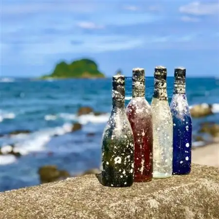 白ワイン潜酔酒(シャルドネ)_酒・アルコール 白ワイン ワイン _【1380226】