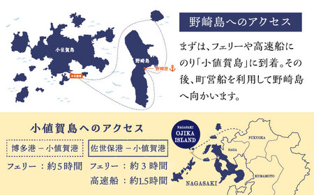 野崎島ガイドツアー 2名様 長崎県 五島列島  ガイドツアー 島旅 旅 世界遺産 2人 ペア [DAJ012]