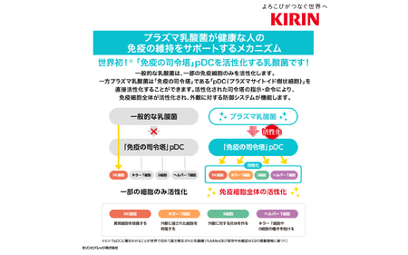 定期便12回 / キリン iMUSE（イミューズ）レモン 500ml × 24本 12ヶ月 毎月1回定期配送
