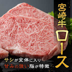 【令和8年6月発送】宮崎牛 ステーキ 2種 600g 牛肉 ステーキ