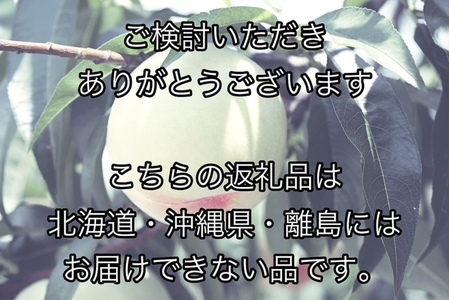 HT-1　【令和8年発送・先行予約】岡山県産　白桃（1玉300g以上）6玉　等級：ロイヤル　化粧箱入り