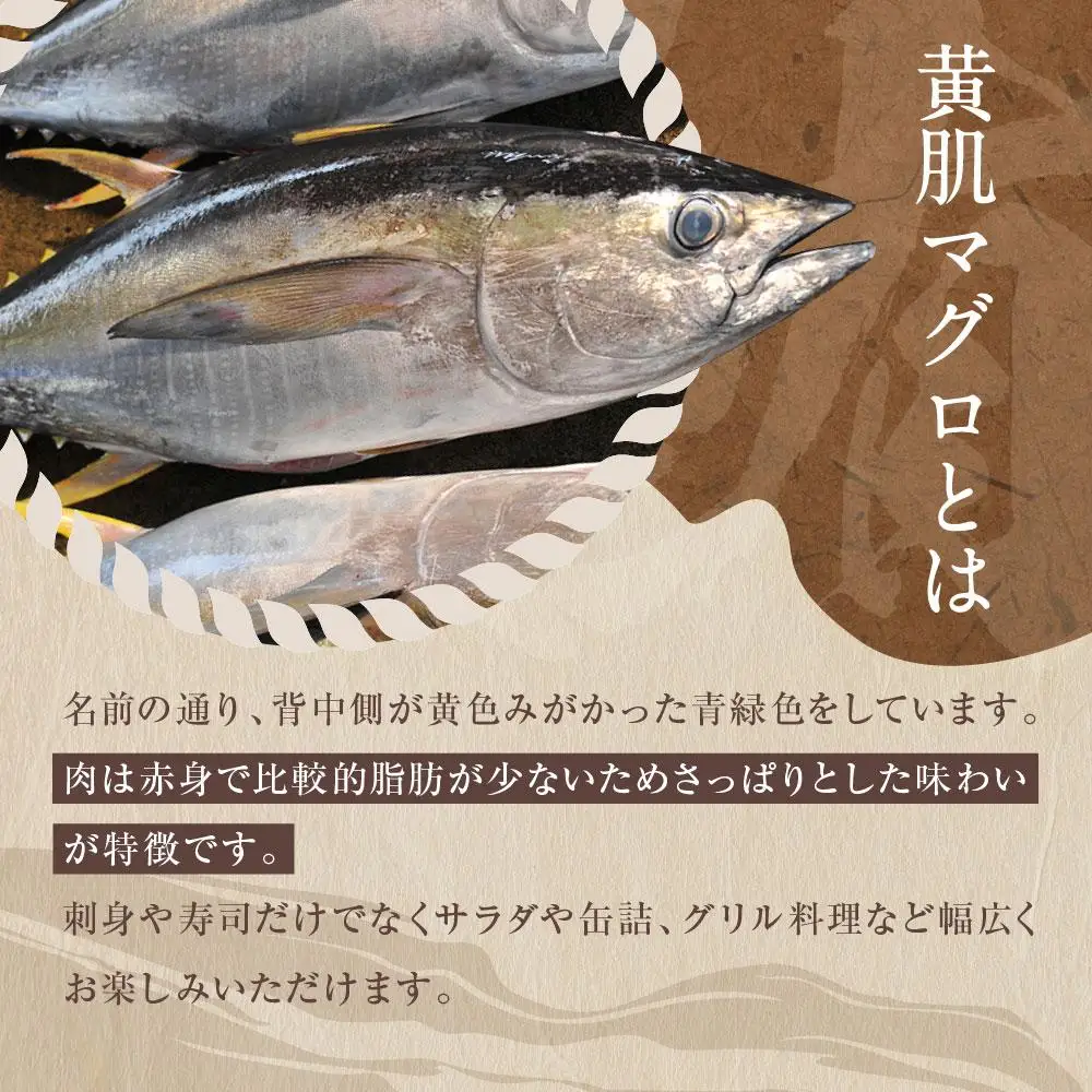マグロ 天然 黄肌 切り落とし 1kg 500g×2パック マグロ