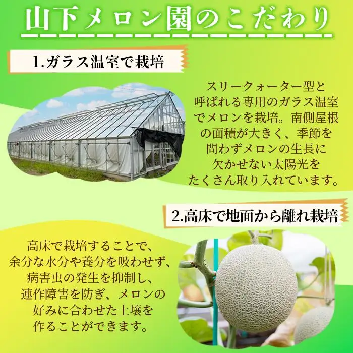 静岡温室メロン  M玉1玉約1.4kg 最高級のマスクメロン 山下メロン園 高級果実店に仕入るほどの自信のあるメロン ギフト メロン めろん 箱詰め フルーツ 果物  産地直送 甘いメロン 糖度  青肉 高級 百貨店