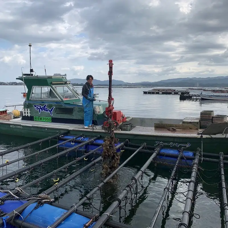 【先行予約】京都・京丹後産　鮮度抜群！濃厚肉厚岩牡蠣（生食用）約5kg（約10個）（殻付き・かんかん入り・冷蔵・ナイフ付き）