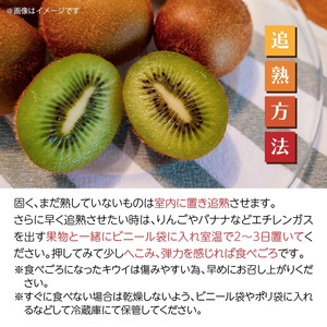 未追熟 キウイフルーツ 36玉（約3.6kg） _2302R