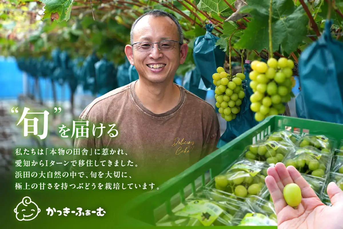 【2026年発送分 先行予約】根域制限シャインマスカット 約0.9kg 2～3房《9月中旬頃から発送》 果物 シャインマスカット 先行予約 【183_1881】