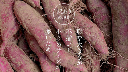 【 訳あり 】 さつまいも ！ 紅はるか 10kg 