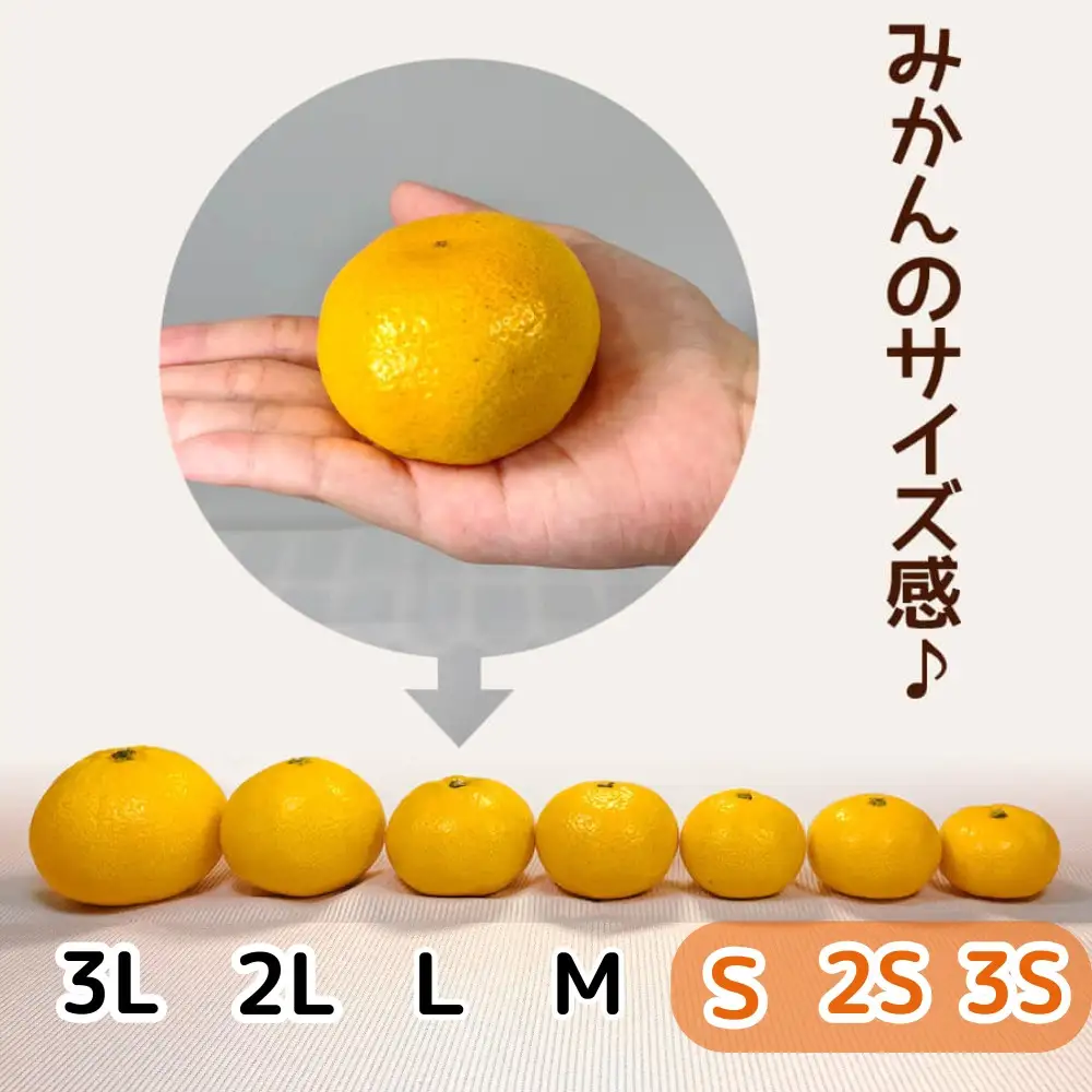 小玉みかん 極早生 箱込 7.5kg (内容量約 6.8kg) 3S～Sサイズ混合 秀品 優品 混合 有田みかん 和歌山県産 【みかんの会】［2026年10月上旬頃より順次発送予定］