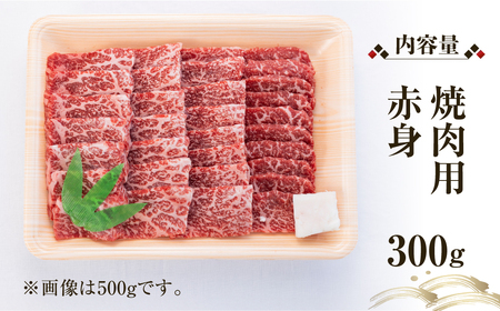 飛騨牛 赤身 焼肉用 300g 高山米穀 飛騨牛 [S550]
