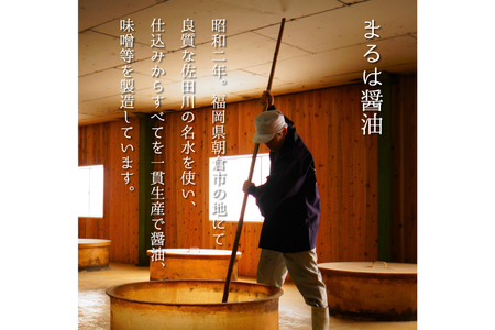 博多もつ鍋 セット (九州醤油仕立て) 4～6人前 [ベネフィス 福岡県 筑紫野市 21761408]