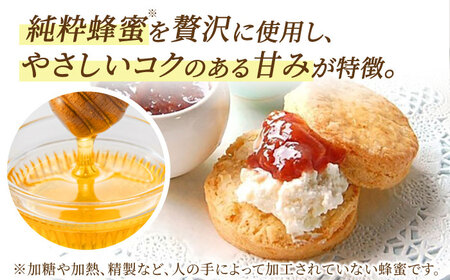 【6回定期便】プレーン スコーン セット 12個 スコーンクリーム付き 多治見市/famfam デザート 焼き菓子 [TAK015]