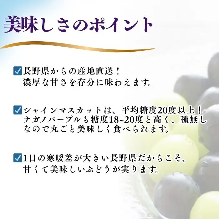【2026年先行予約】シャインマスカット ＆ ナガノパープル 詰め合わせ セット  計約1kg（2~3房）※最低900g以上 ｜シャインマスカット ナガノパープル