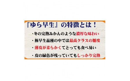 【先行予約】由良早生 みかん 家庭用 7kg / ゆら早生 温州みかん 極早生 甘い 家庭用 和歌山 柑橘 ※2026年10月上旬～11月上旬順次発送 ※北海道・沖縄・離島への配送不可 【nuk003-yura-7D】